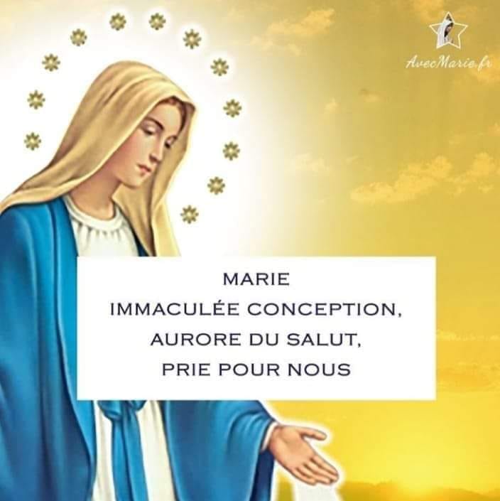 Operations and logistics